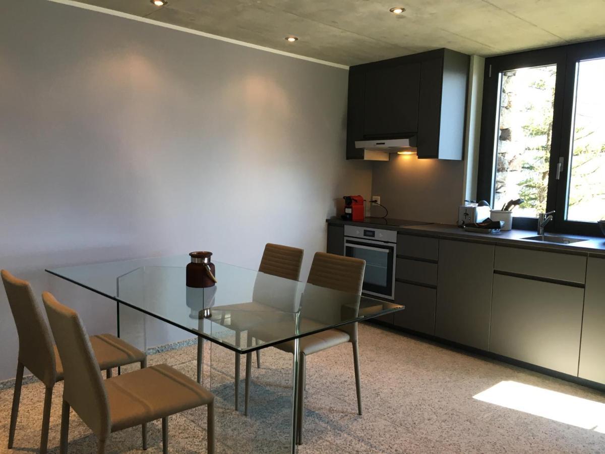 Rustico Resa: Brione Sopra Minusio Villa Exterior foto